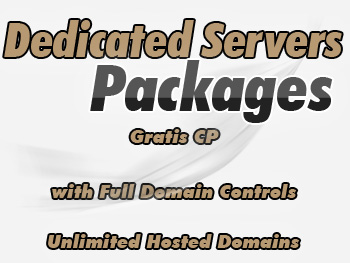 Modestly priced dedicated servers plan