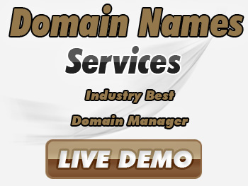 Low-cost domain name service providers
